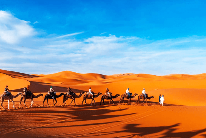 1 night Camel Trekking