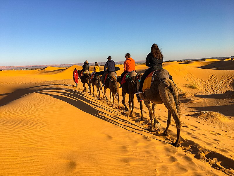 1 night Camel Trekking Merzouga desert